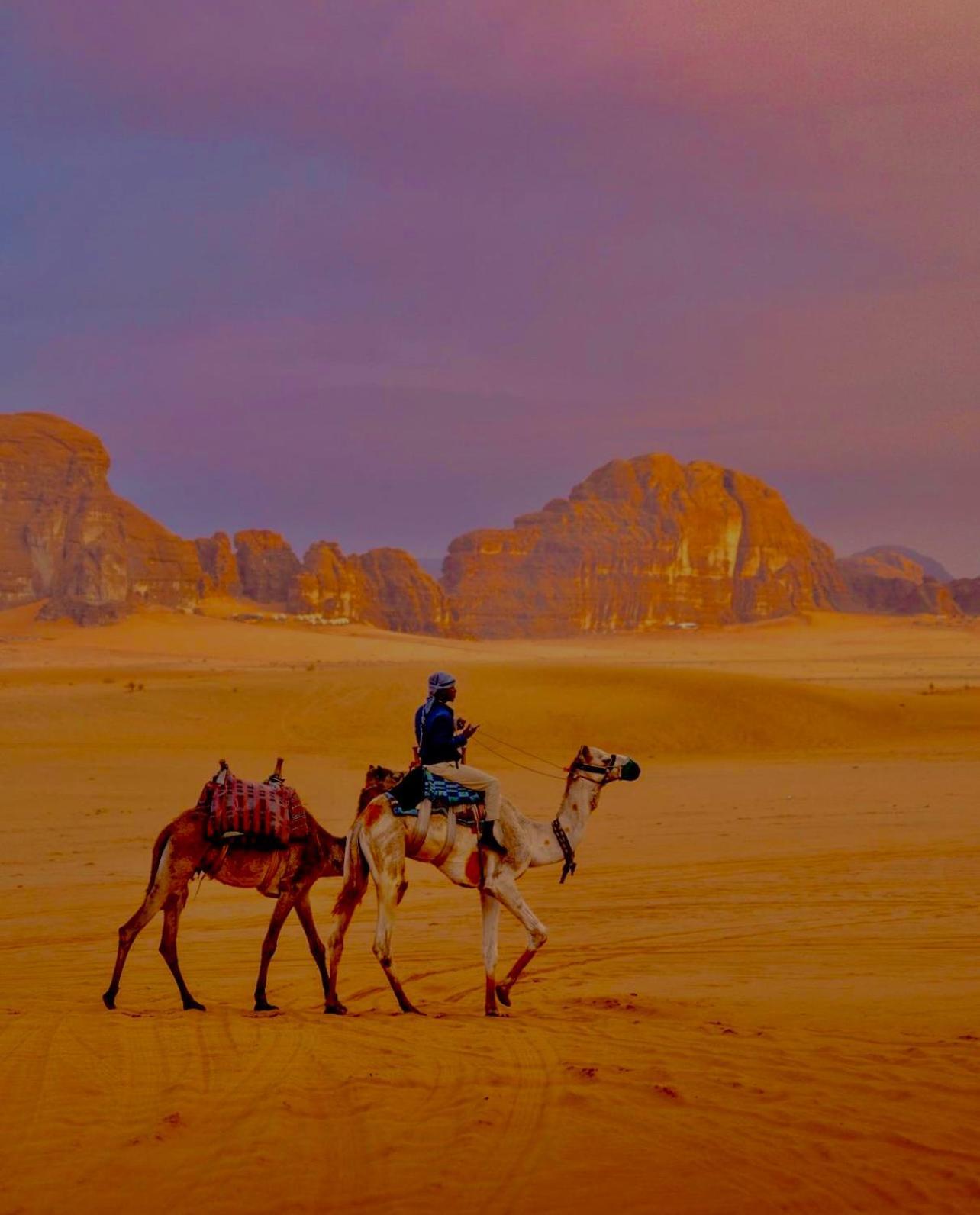 Hidden Wadi Rum Camp Ngoại thất bức ảnh