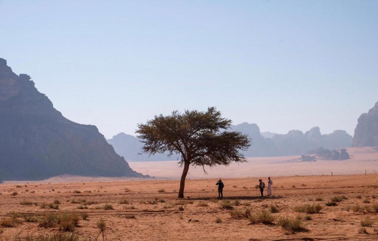 Hidden Wadi Rum Camp Ngoại thất bức ảnh